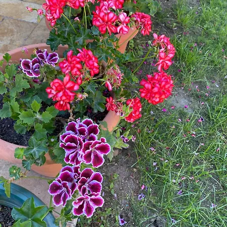 Гостевой дом Inci